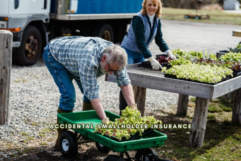 plandescil ltd